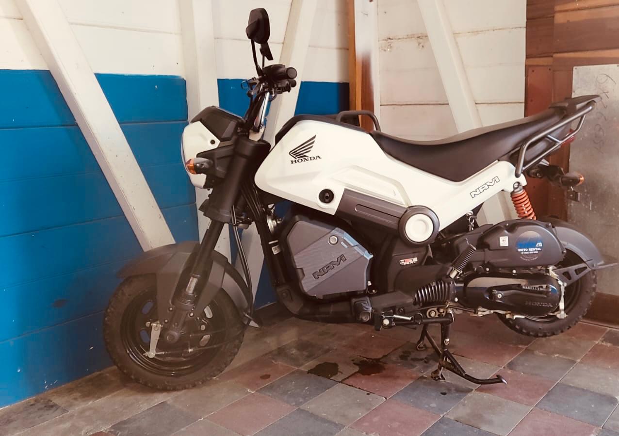 Honda Navi 110cc - San Juan del Sur Motorcycle Rental Service